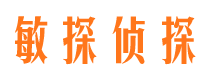 开江市侦探公司